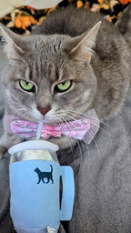 PUPROAR Kitty Cup Cat Toy | Cute Catnip & Crinkle Plush Cat Toy