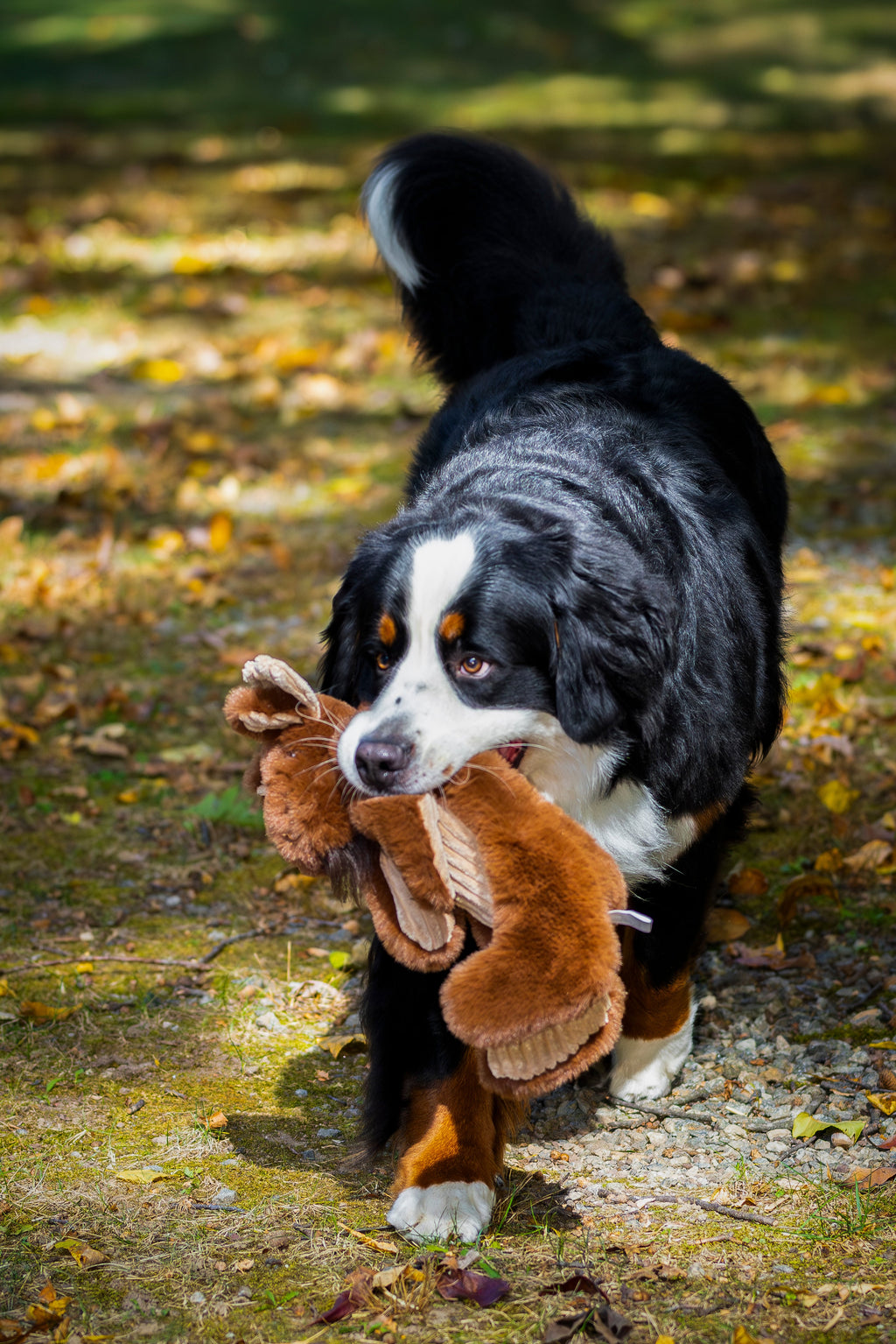 Maple Moose X-Brace® Durable Plush Dog Toy