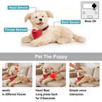 Percy Essential - Interactive Emotional Support Pet Weighted