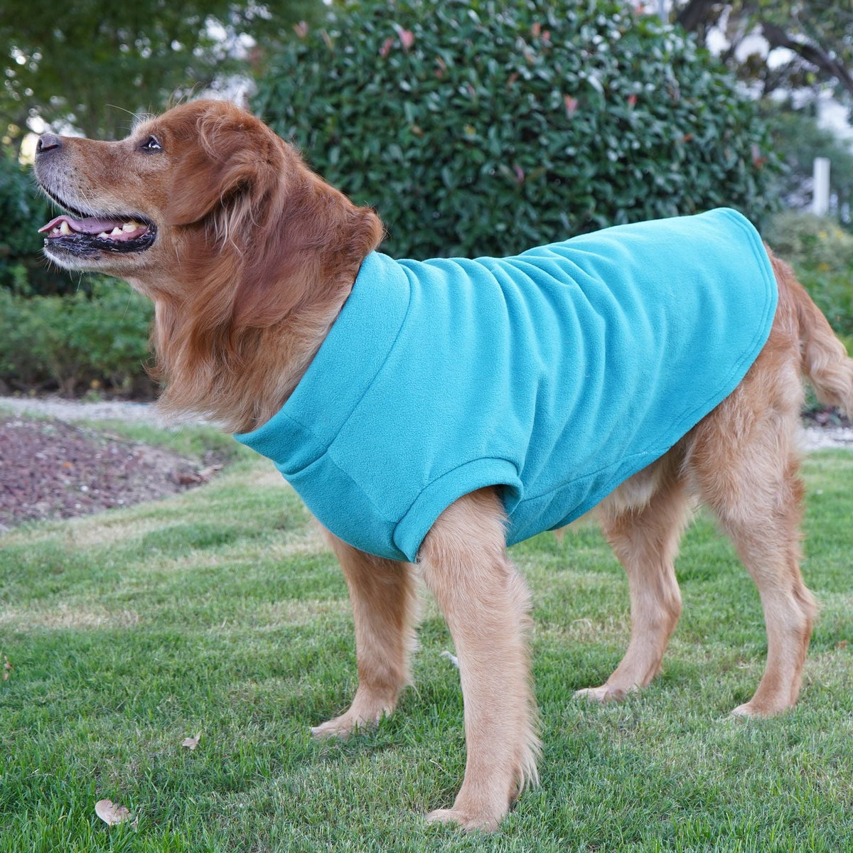 Pet Labrador Golden Retriever Dog Clothes Large Breed Winter Warm Pet Clothes European and American Cross-border Wholesale
