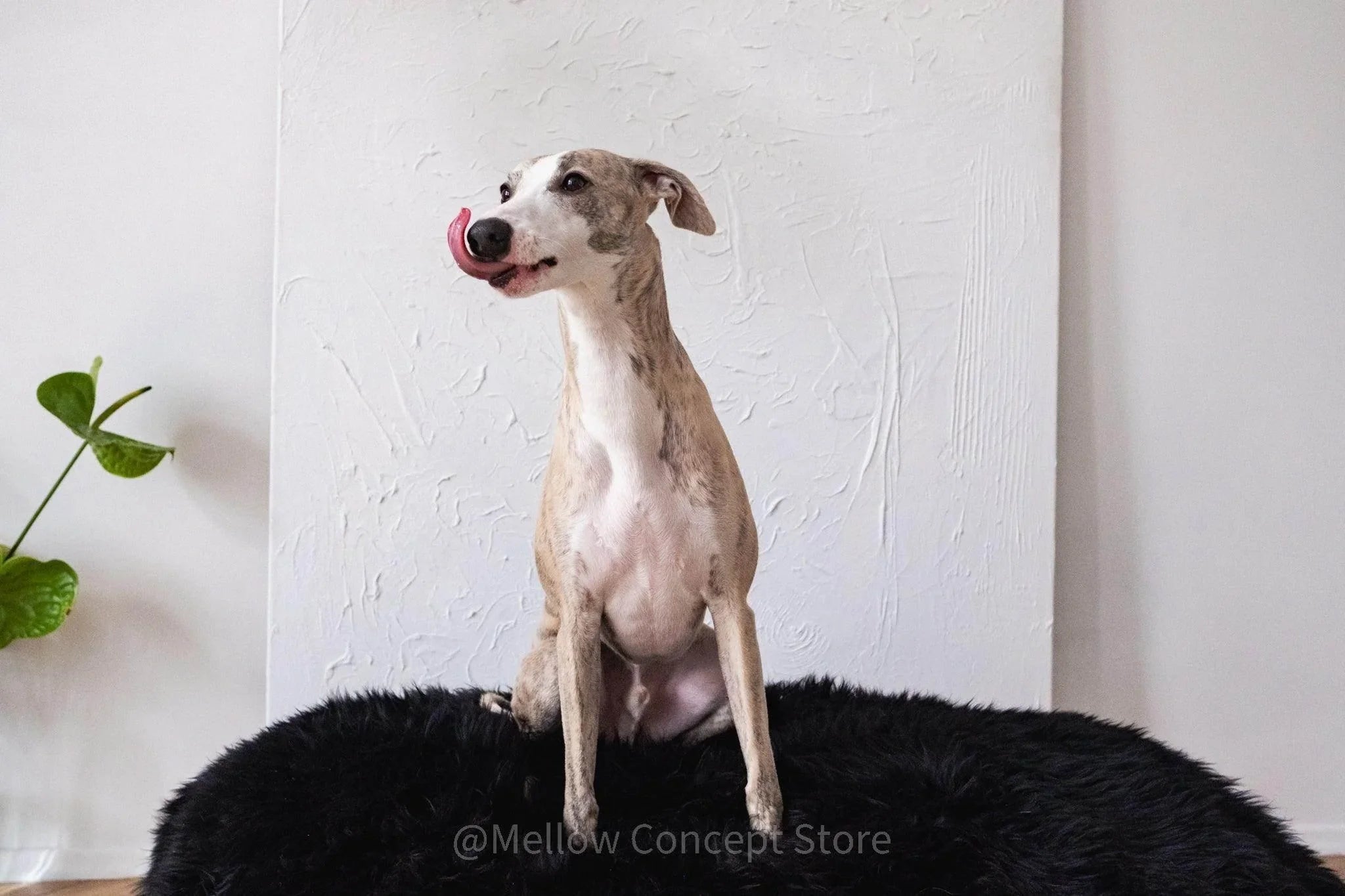 Oval Sheepskin™ Luxury Pet Bed