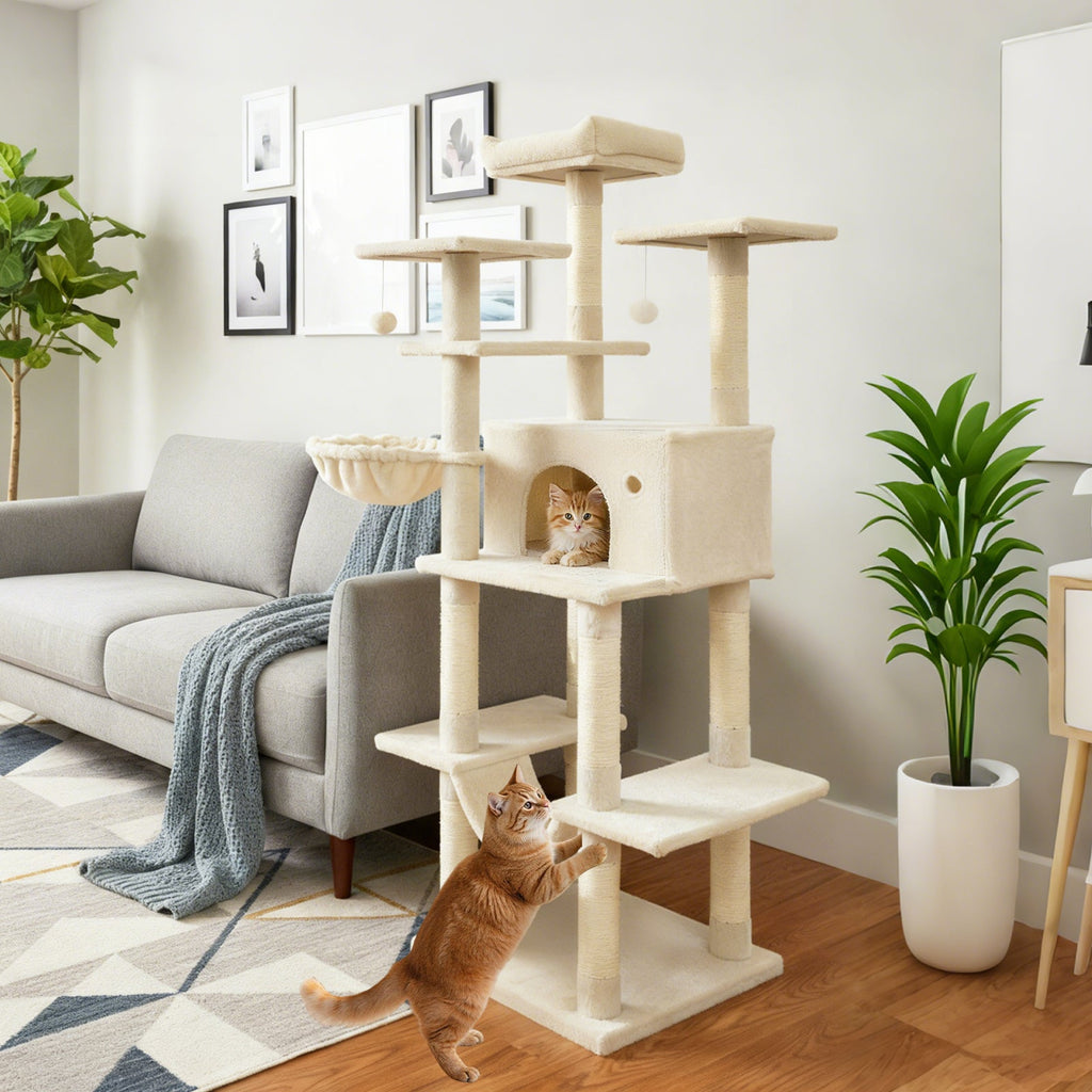 Large Cat Tree for Indoor Cats 63" Tall Cat Tower