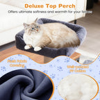 Large Cat Tree for Indoor Cats 63" Tall Cat Tower