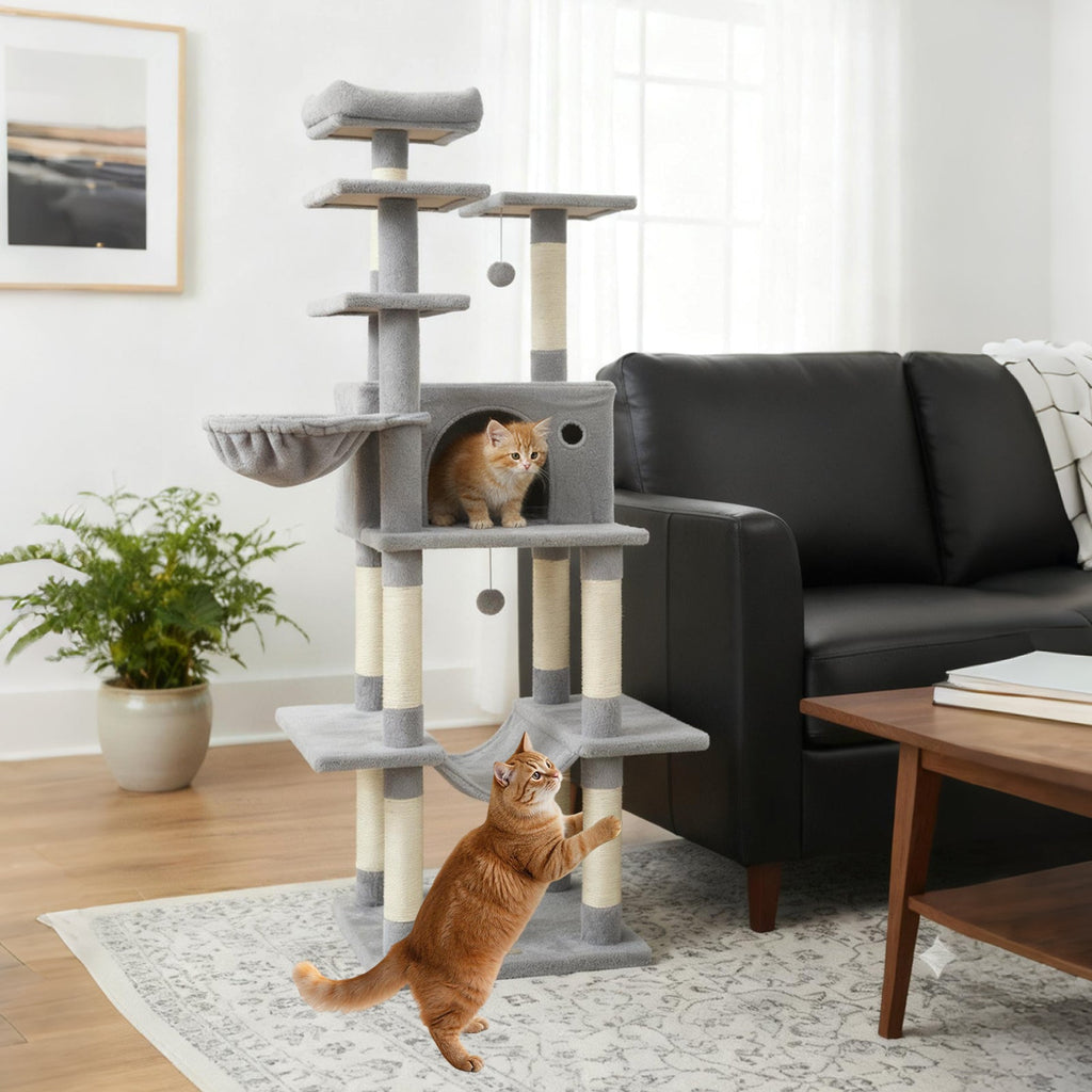 Large Cat Tree for Indoor Cats 63" Tall Cat Tower