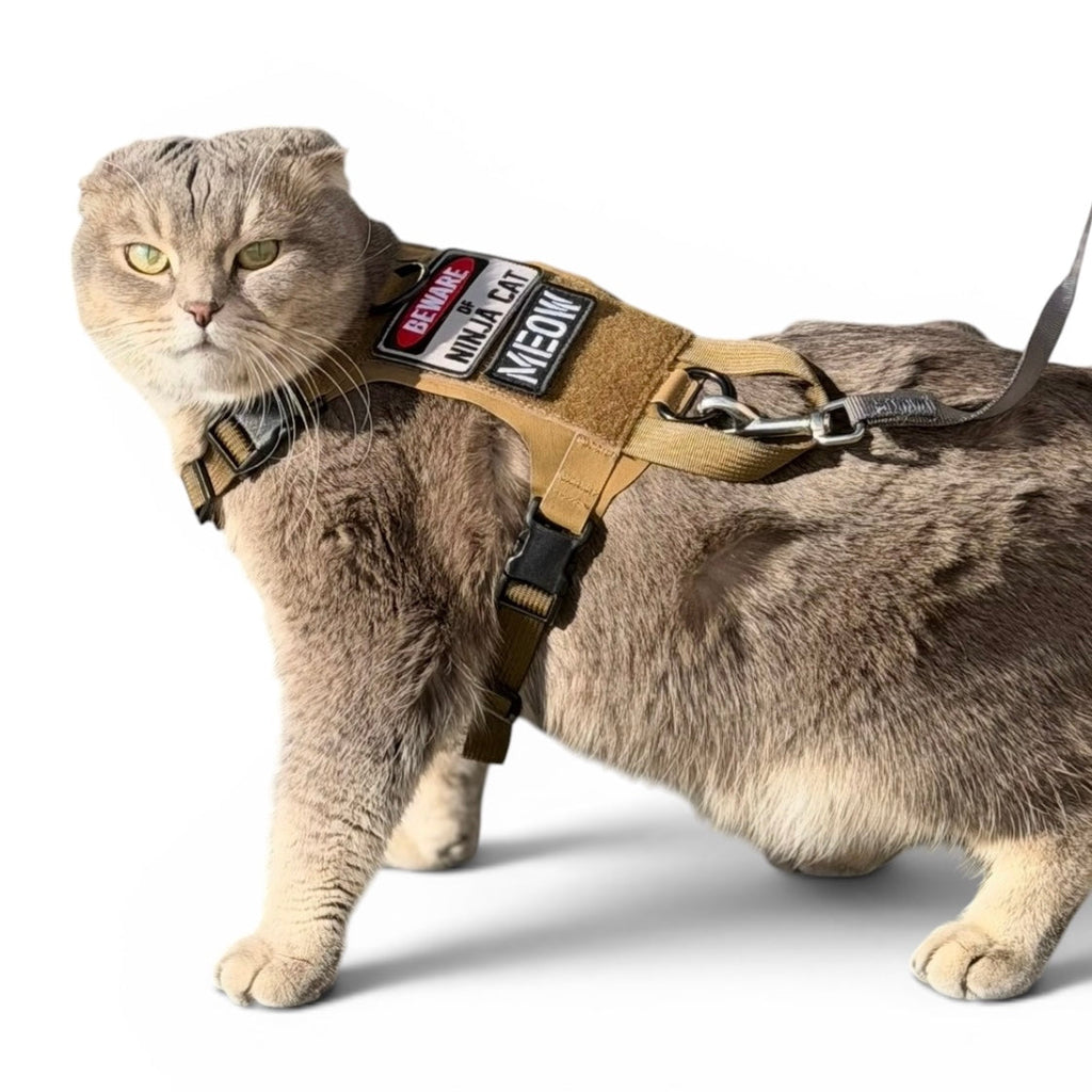 K9R - M1 Lightspeed Harness for Cats
