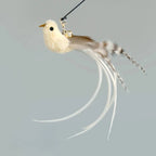 Hands-Free Feather Cat Wand with Bell | Suction Cup Interactive Toy for Hunting and Exercise