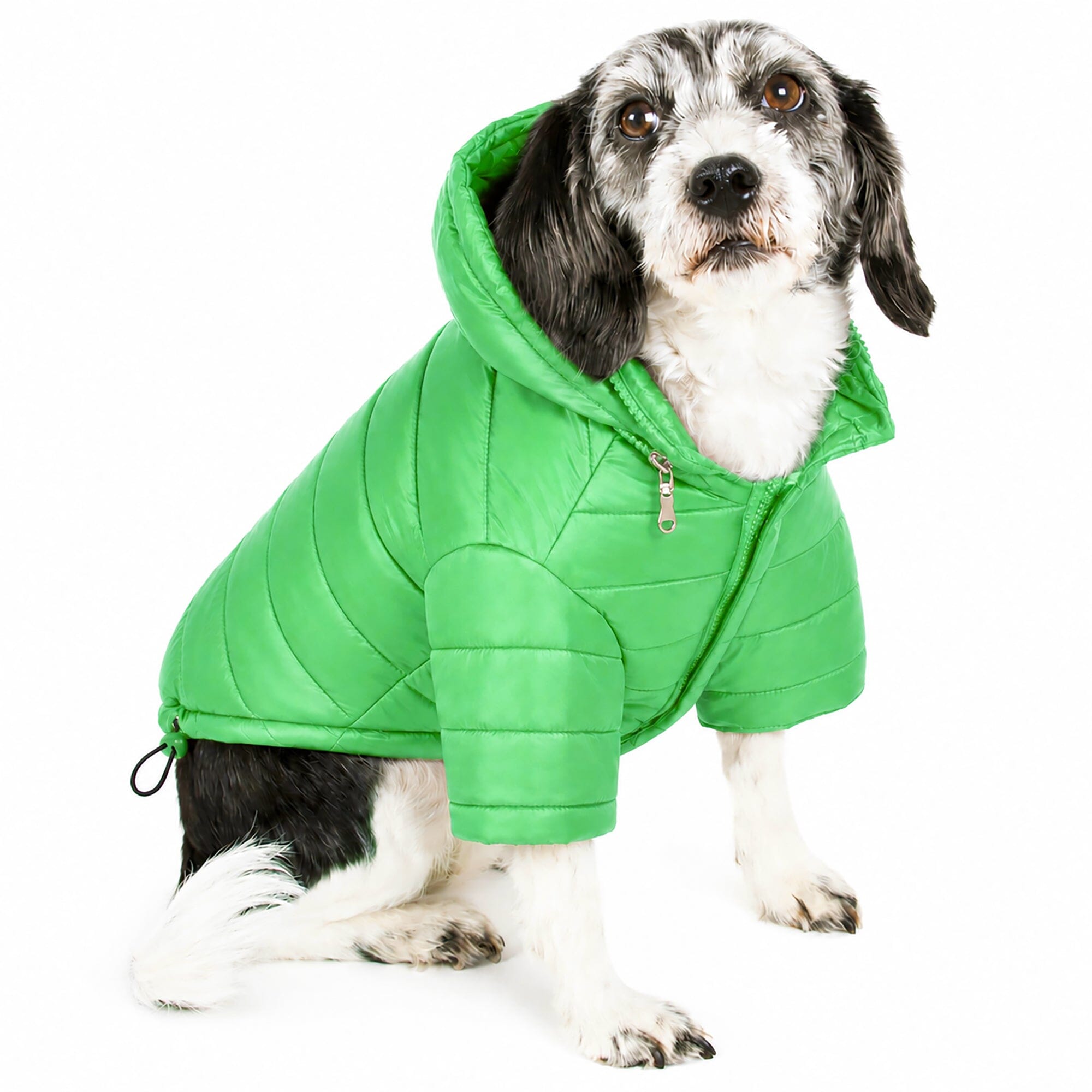 Pet Life ® Lightweight Adjustable and Collapsible 'Sporty Avalanche' Dog Coat w/ Pop-out Zippered Hood