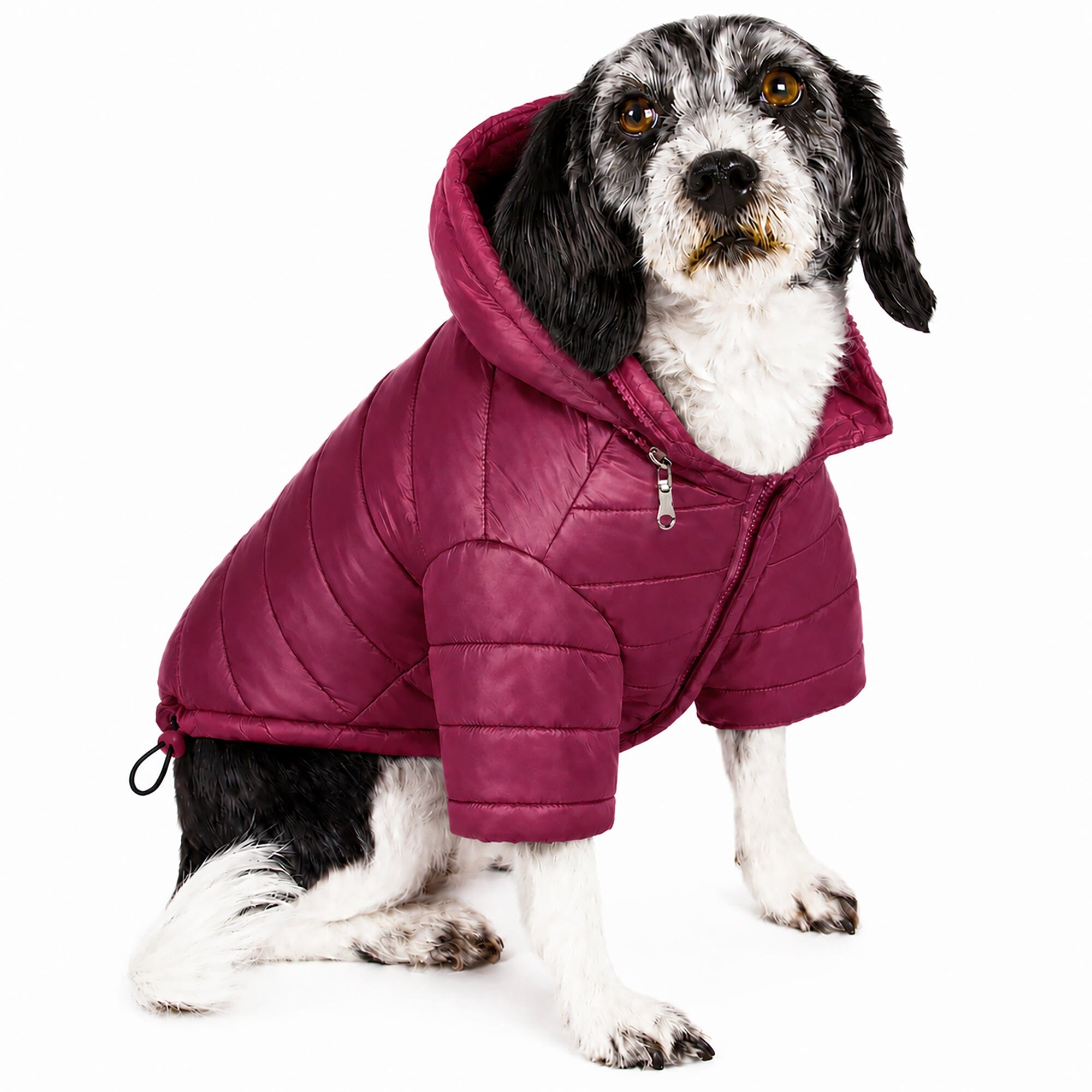 Pet Life ® Lightweight Adjustable and Collapsible 'Sporty Avalanche' Dog Coat w/ Pop-out Zippered Hood