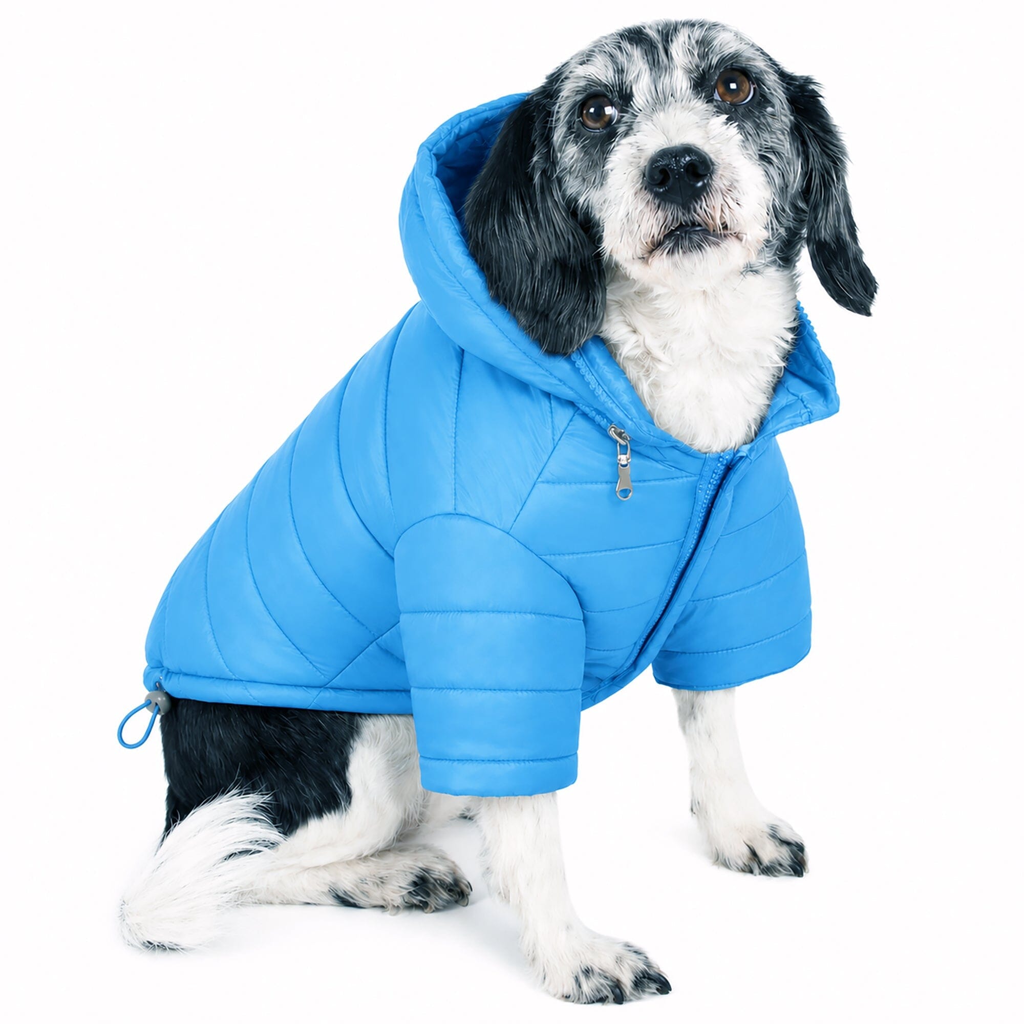 Pet Life ® Lightweight Adjustable and Collapsible 'Sporty Avalanche' Dog Coat w/ Pop-out Zippered Hood