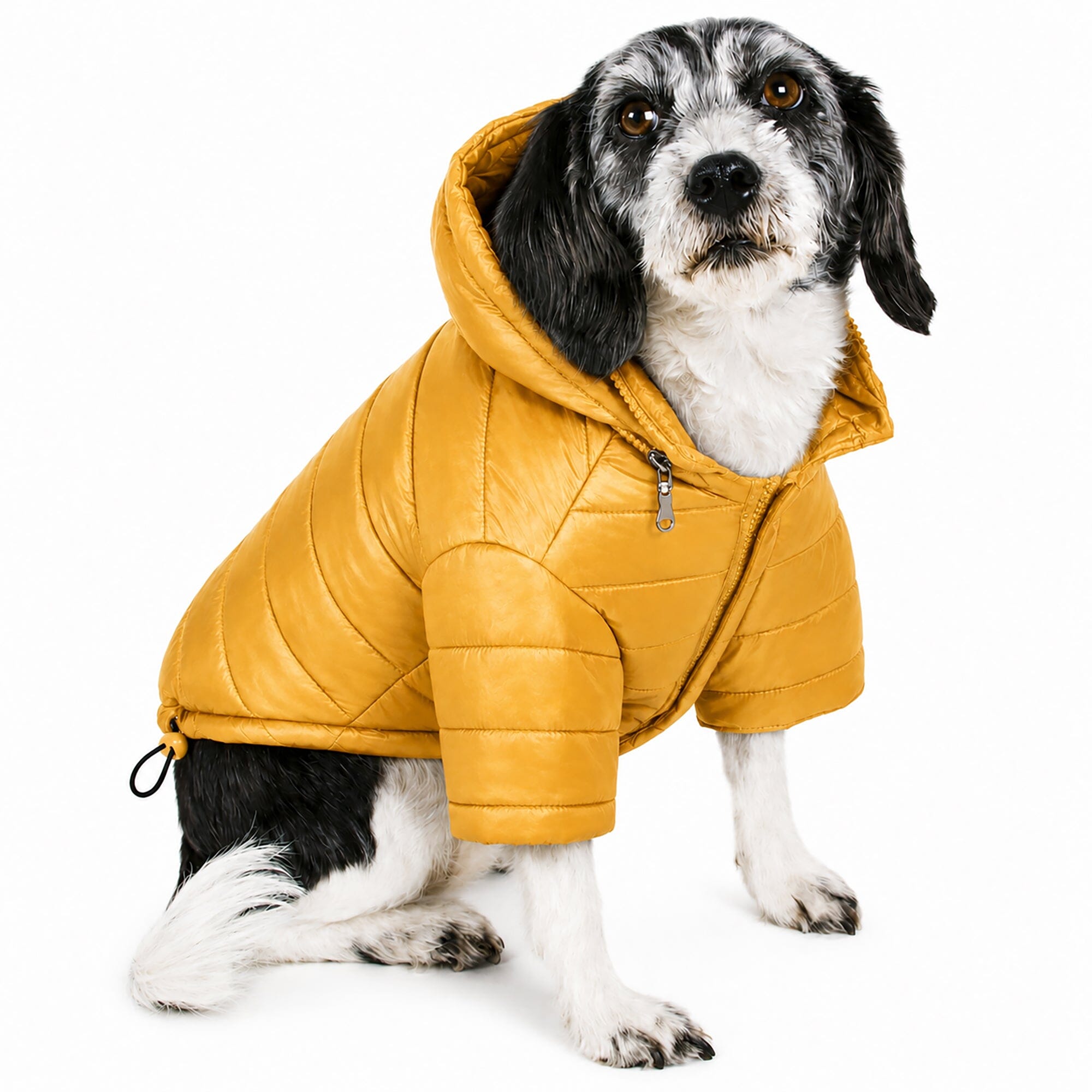 Pet Life ® Lightweight Adjustable and Collapsible 'Sporty Avalanche' Dog Coat w/ Pop-out Zippered Hood