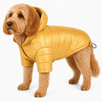 Pet Life ® Lightweight Adjustable and Collapsible 'Sporty Avalanche' Dog Coat w/ Pop-out Zippered Hood